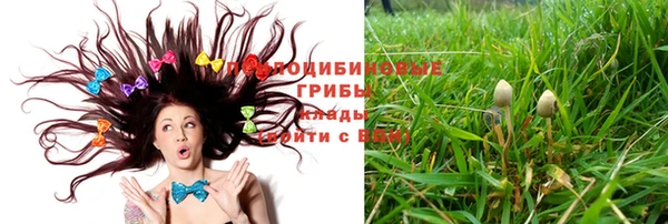 прущая мука Бородино