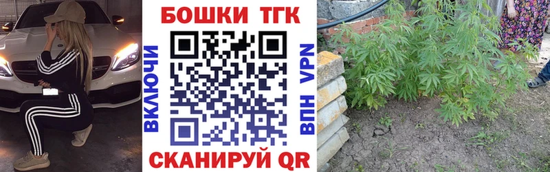 Бошки Шишки MAZAR Можга